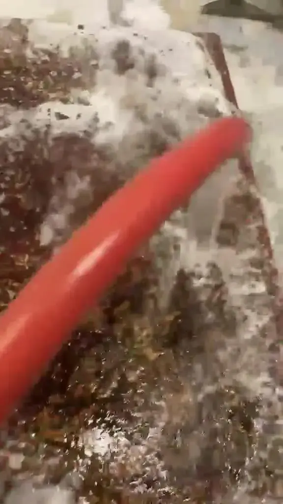 Bain de savon doux sur un tapis, à l'atelier